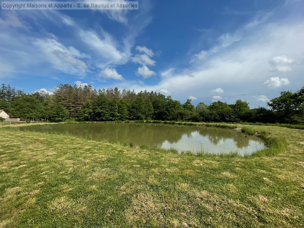 Maison à vendre, CHAUMONT SUR THARONNE, 160 m², 6 pièces