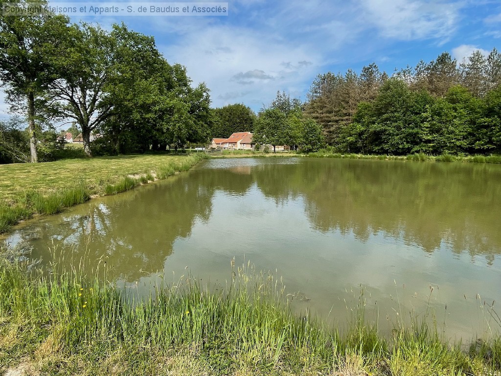 Maison à vendre, CHAUMONT SUR THARONNE, 148,4 m², 6 pièces