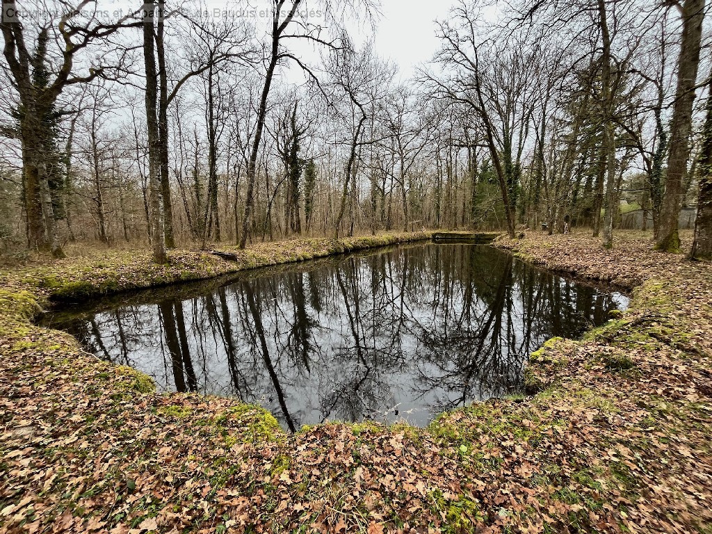 Maison à vendre, LAMOTTE BEUVRON, 165 m², 7 pièces